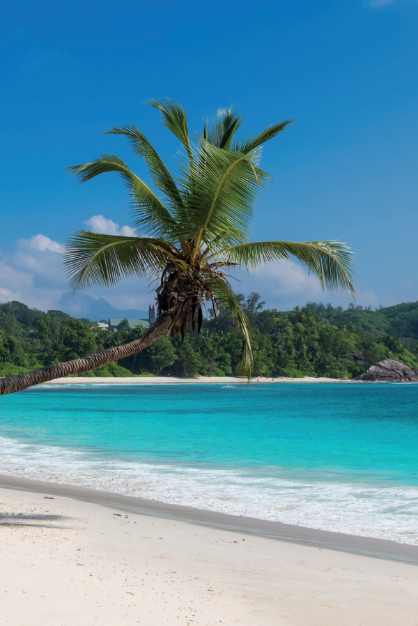 Spiaggia tropicale